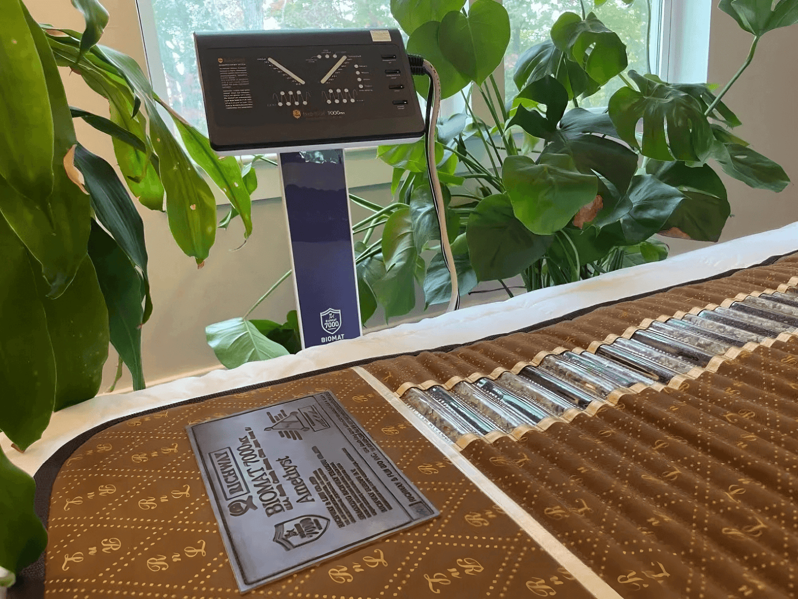 Richway Professional Amethyst Biomat 7000MX 74”x28” - RejuvenTech