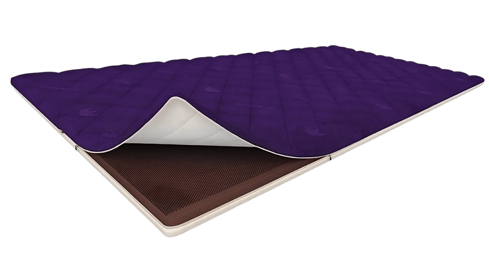 Quantum Energy Pad - RejuvenTech