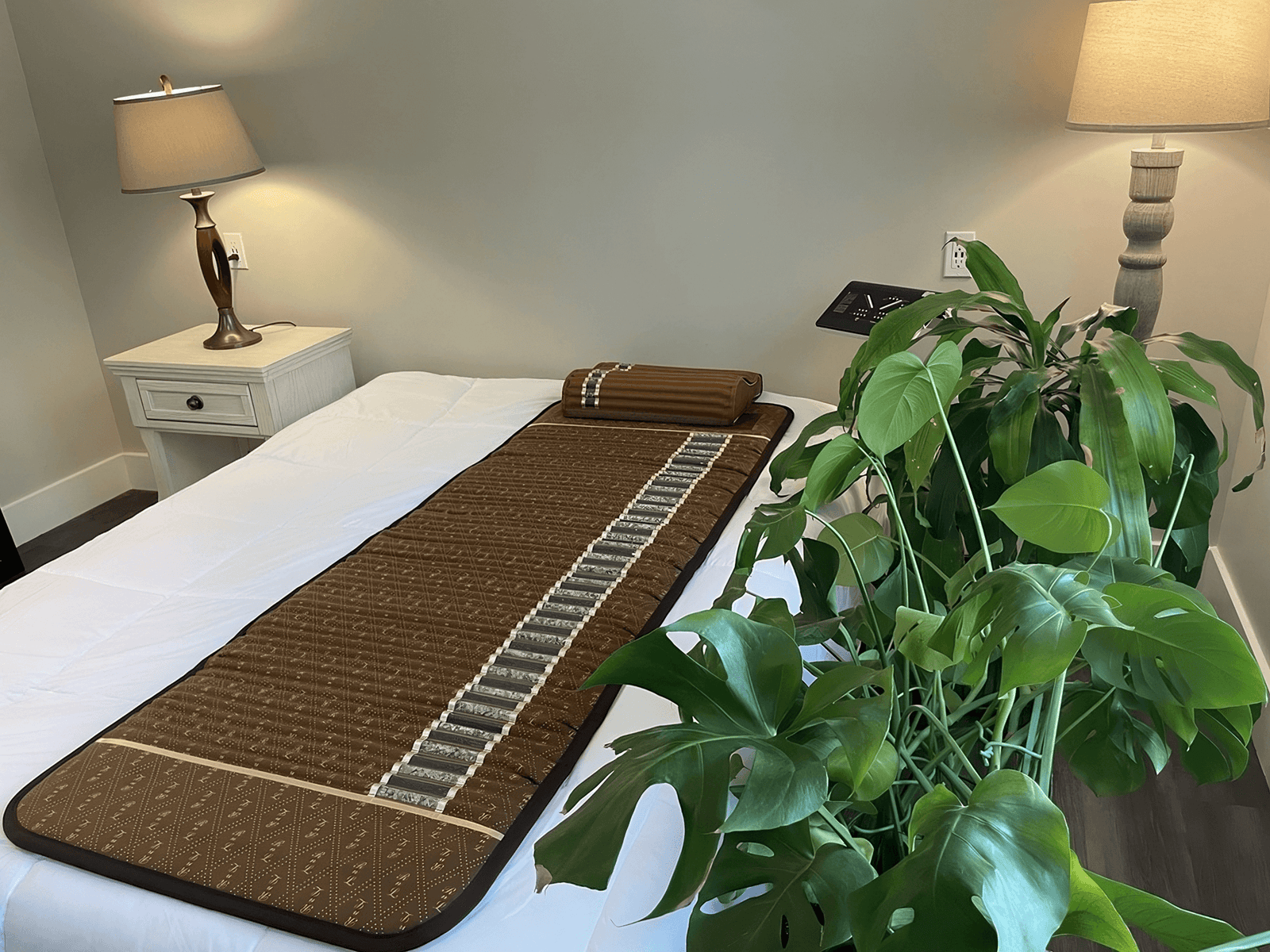 Richway Professional Amethyst Biomat 7000MX 74”x28” - RejuvenTech