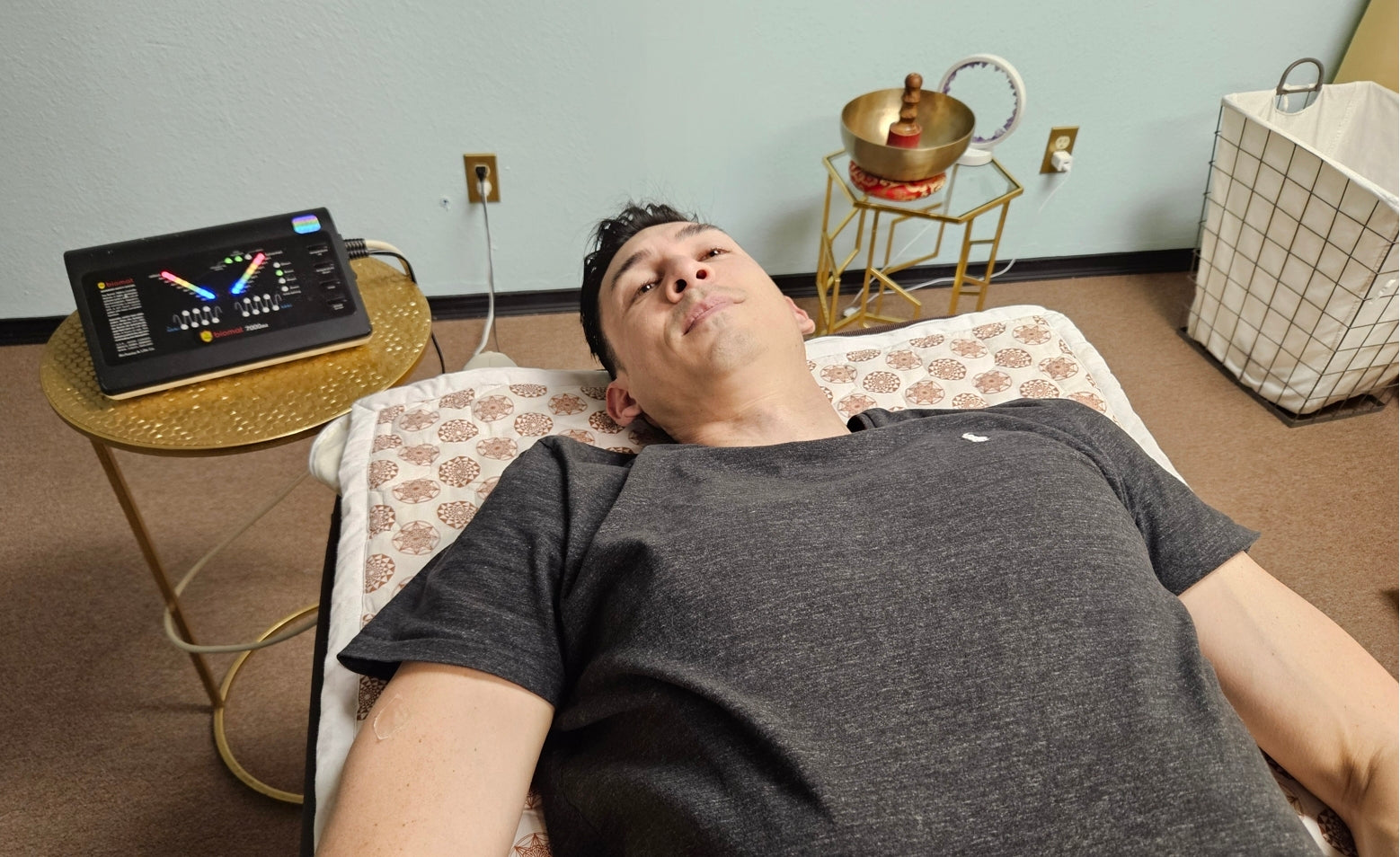 Richway Professional Amethyst Biomat 7000MX 74”x28” - RejuvenTech