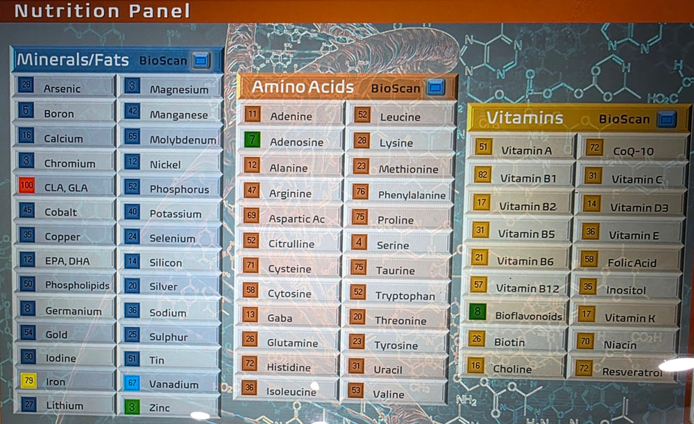 2-Hour Intensive IMAET Bioenergetic Session - RejuvenTech