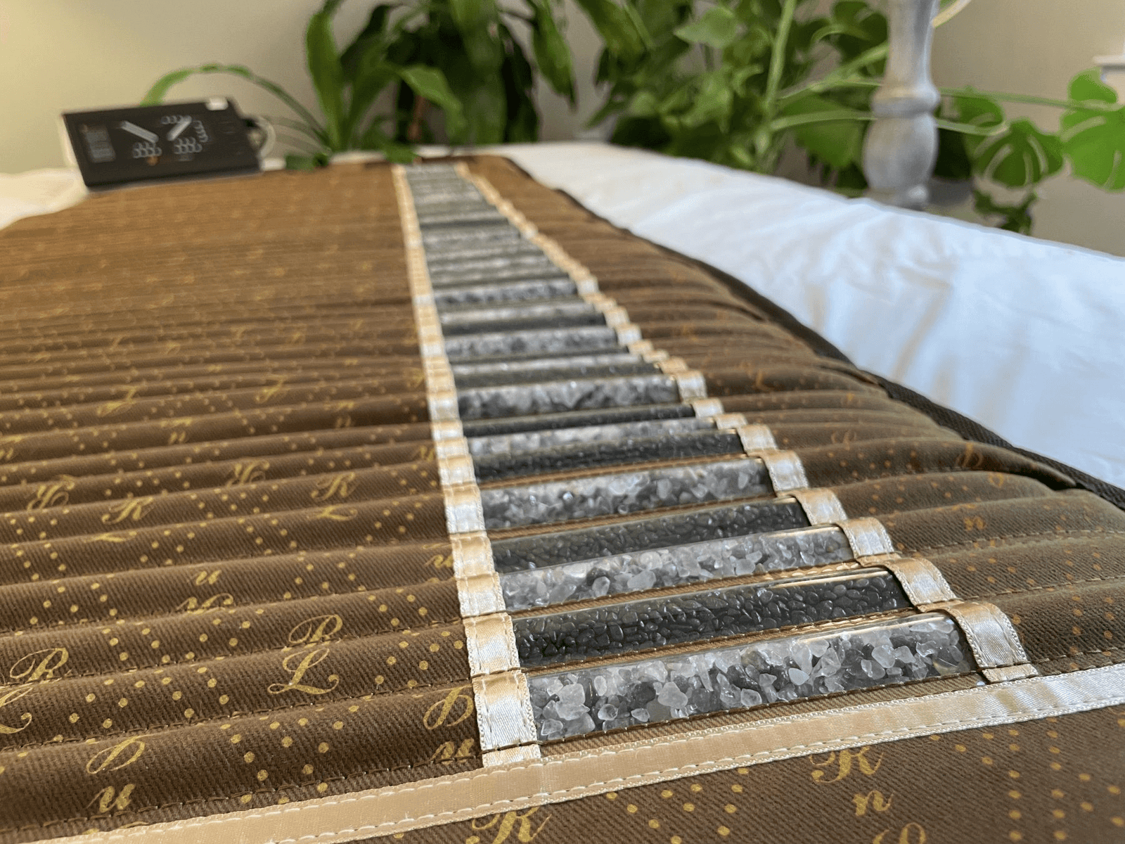 Richway Professional Amethyst Biomat 7000MX 74”x28” - RejuvenTech